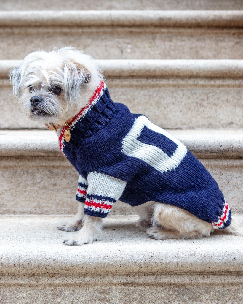 Varsity Wool Dog Sweater Wear CHILLY DOG   