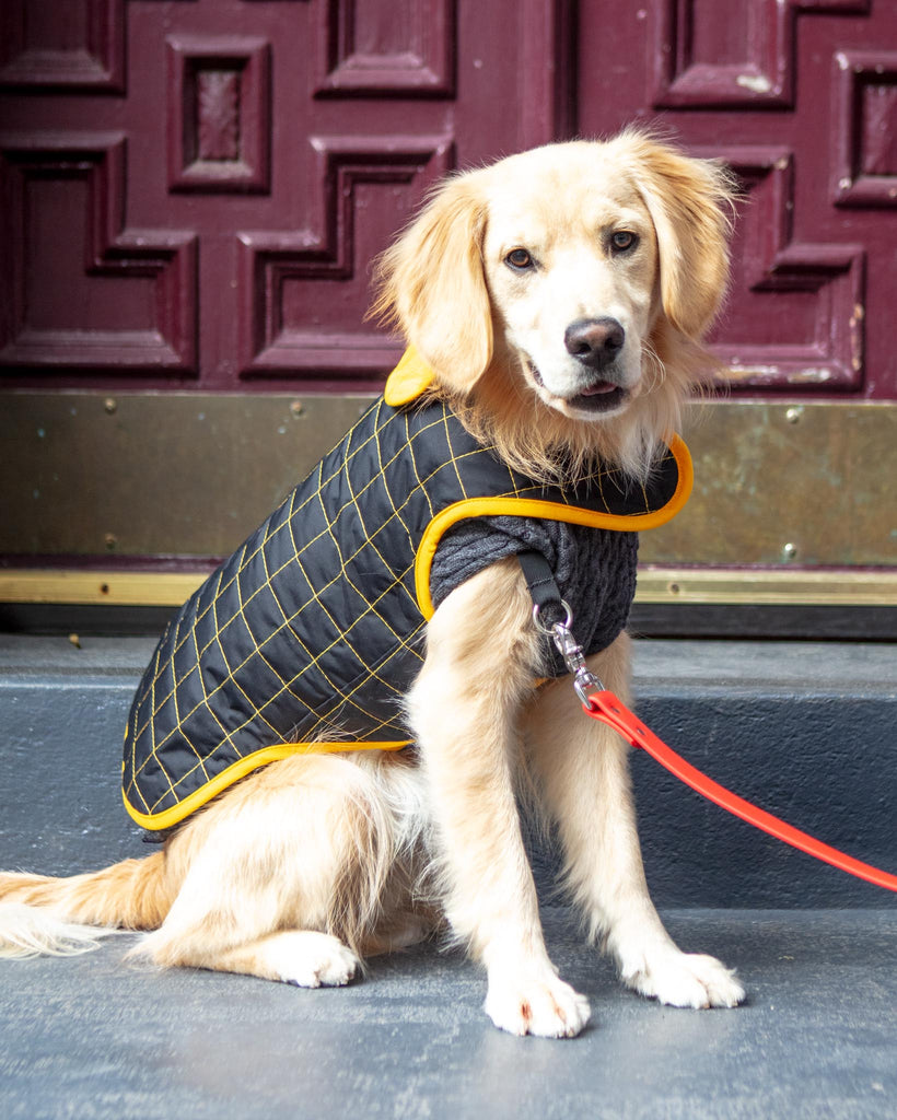 Yaku Reversible Waterproof Dog Coat (FINAL SALE) Wear PACO & LUCIA   