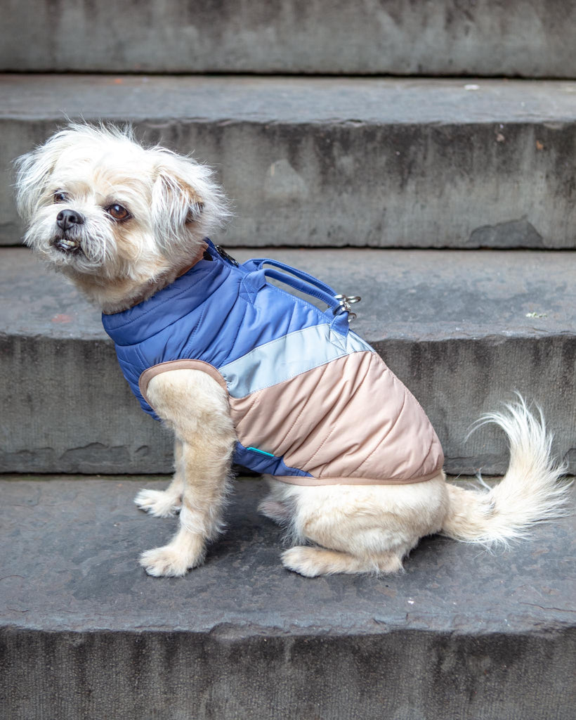 Mountaineer Waterproof Dog Harness Jacket in Tan & Moonstone Blue (FINAL SALE) Wear GOOBY   