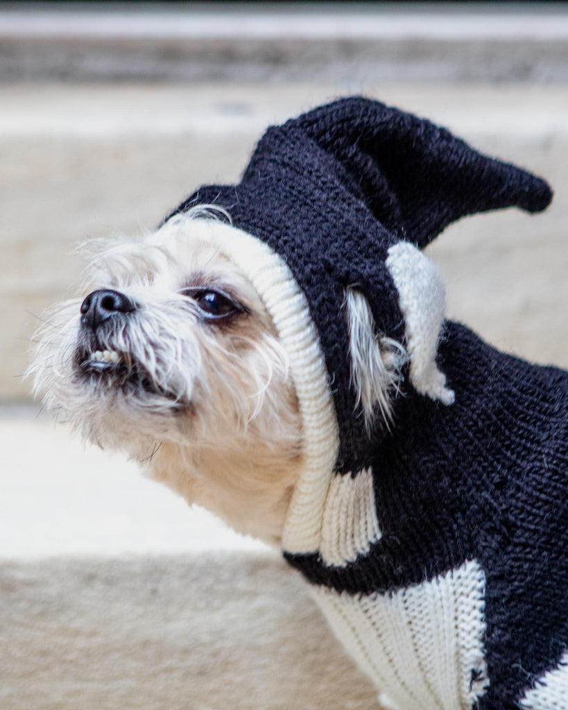 Orca Whale Handknit Dog Sweater w/ Hood Wear PERUVIAN KNITS   