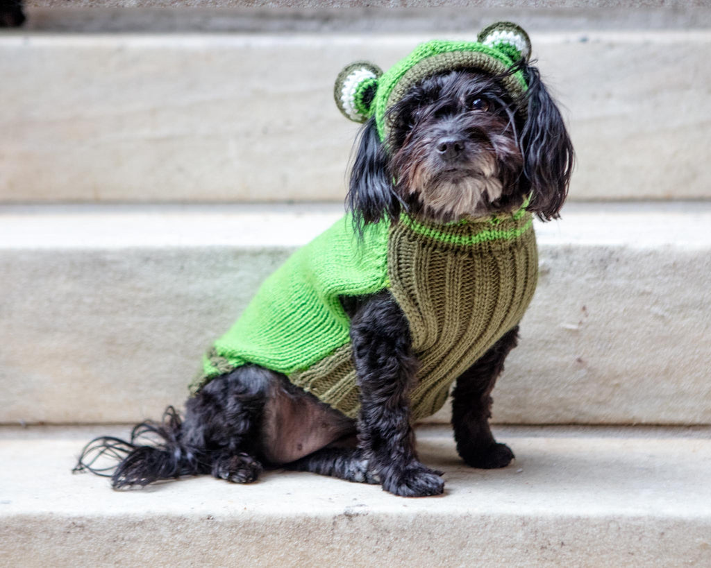Froggy Doggy Handknit Dog Sweater w/ Hood Wear PERUVIAN KNITS   
