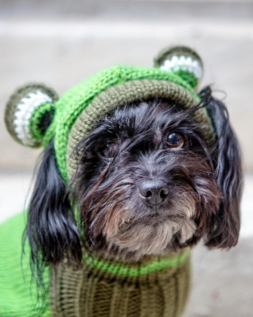 Froggy Doggy Handknit Dog Sweater w/ Hood Wear PERUVIAN KNITS   