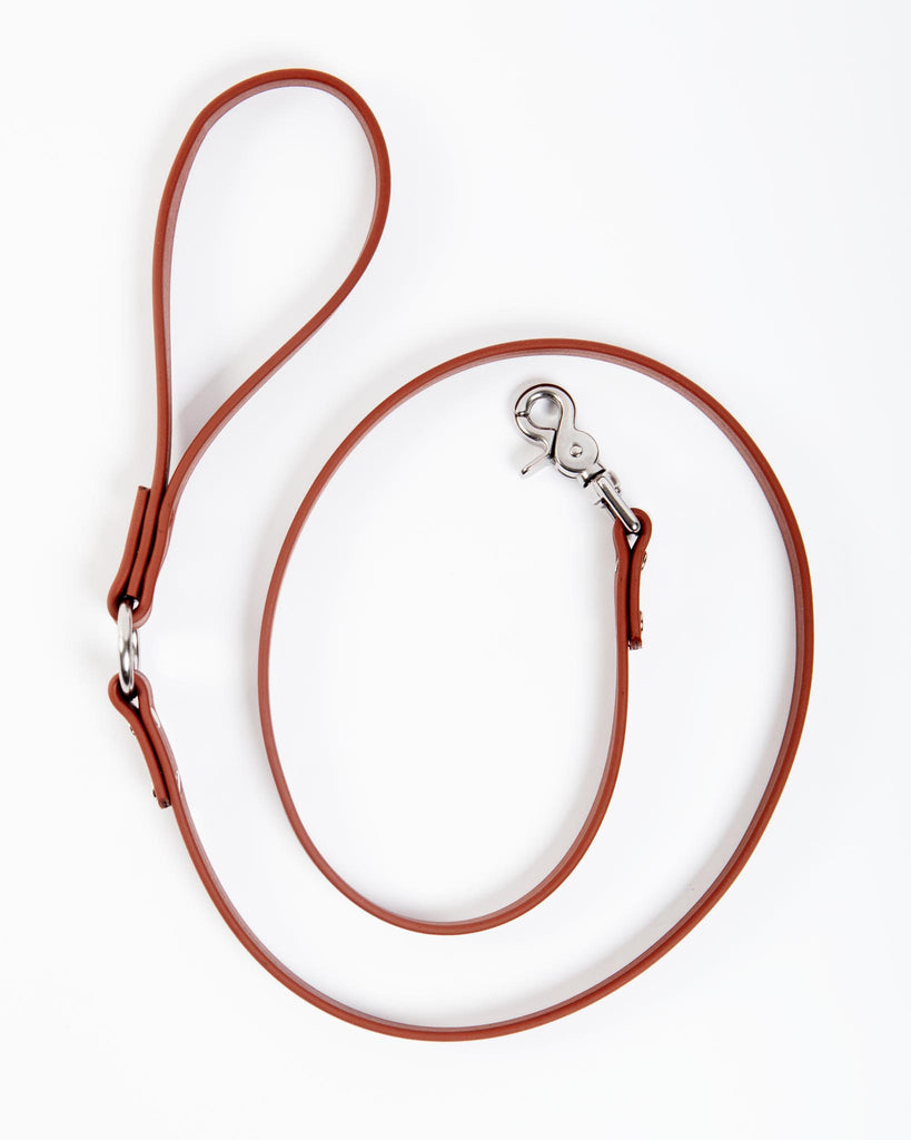 City Leash in Mocha Brown (Made in the USA) WALK DOG & CO. COLLECTION