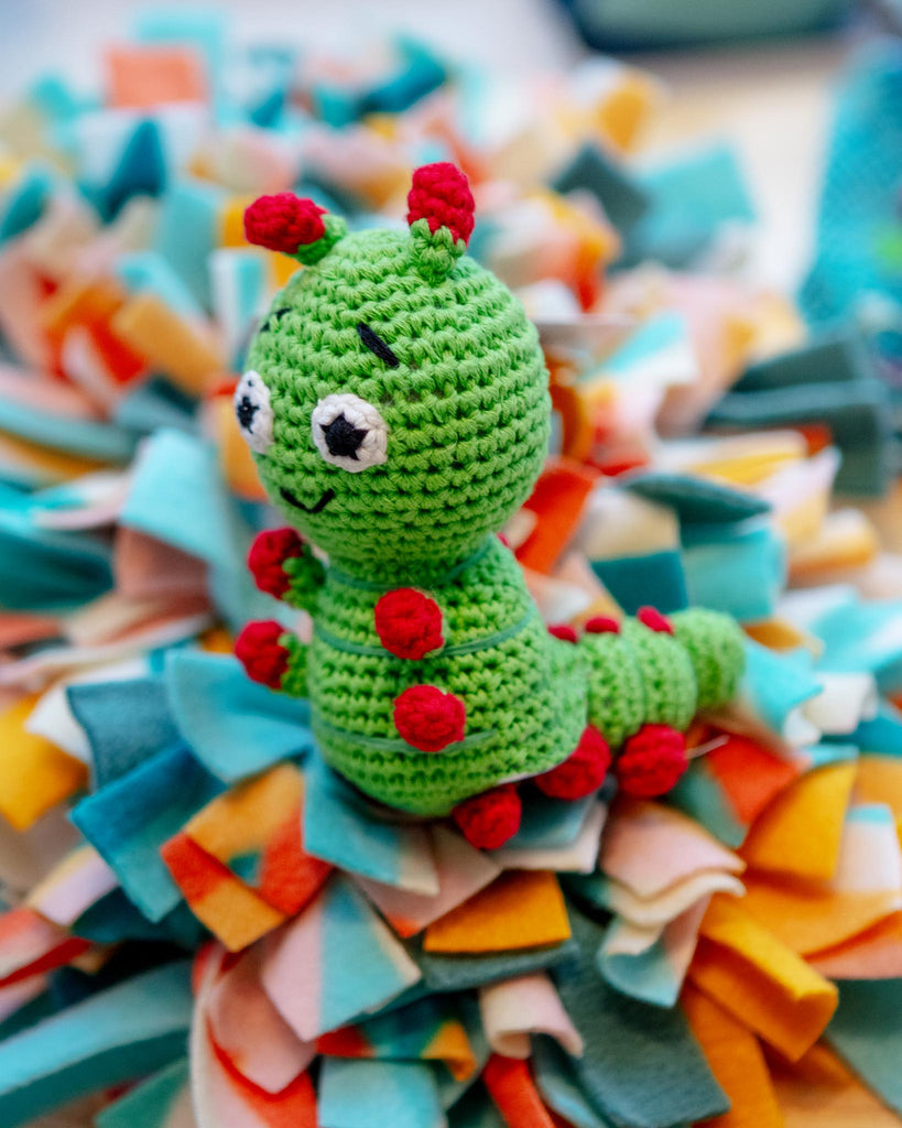 Carlos the Caterpillar Squeaky Knit Dog Toy Play MOCHI & KONA