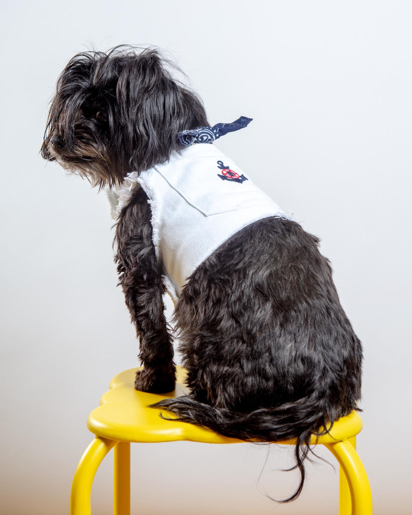 Dog Clothes Made in USA: Stylish & Quality Options