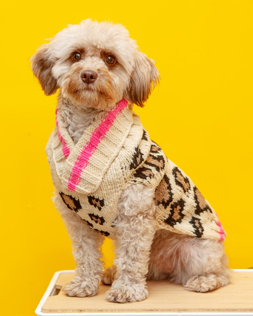 Leopard Print Dog Sweater (FINAL SALE) Wear CHILLY DOG   