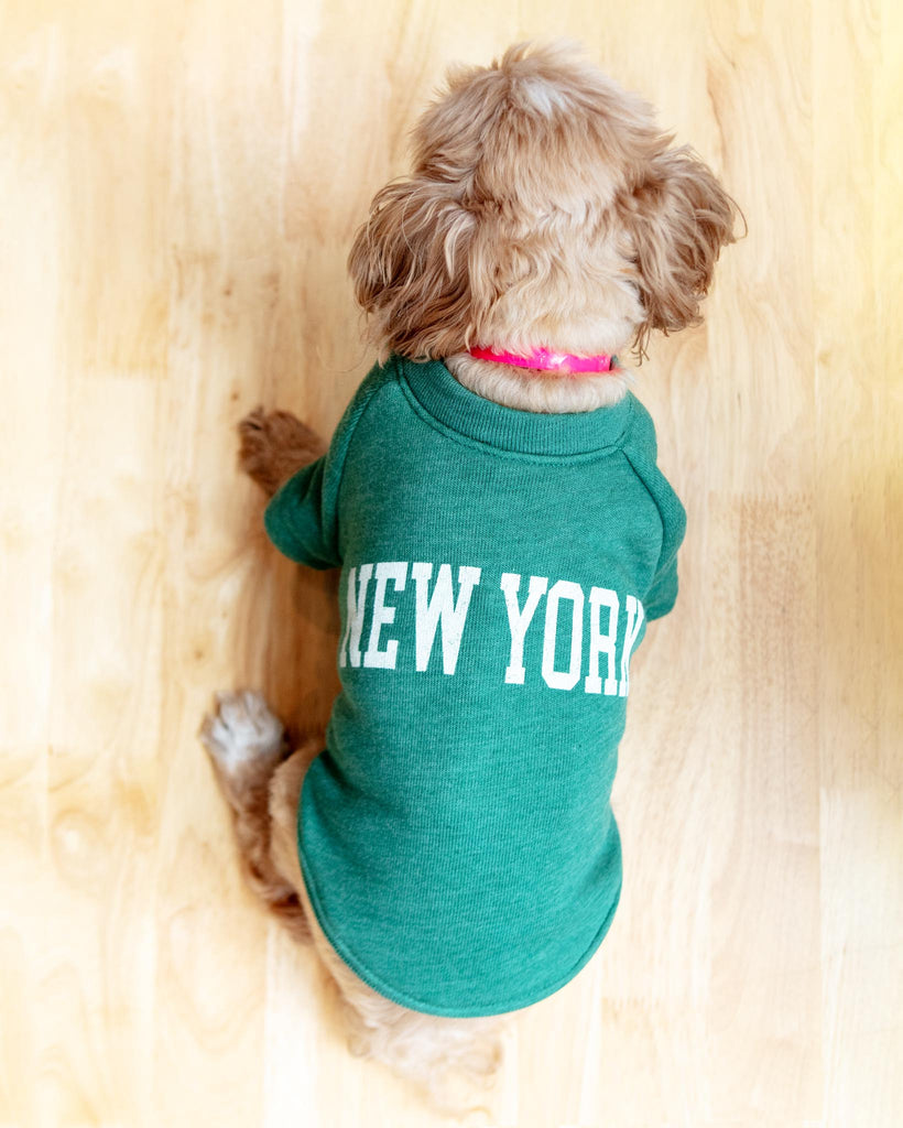 New York Dog Sweatshirt in Forest Heather Wear OAT COLLECTIVE
