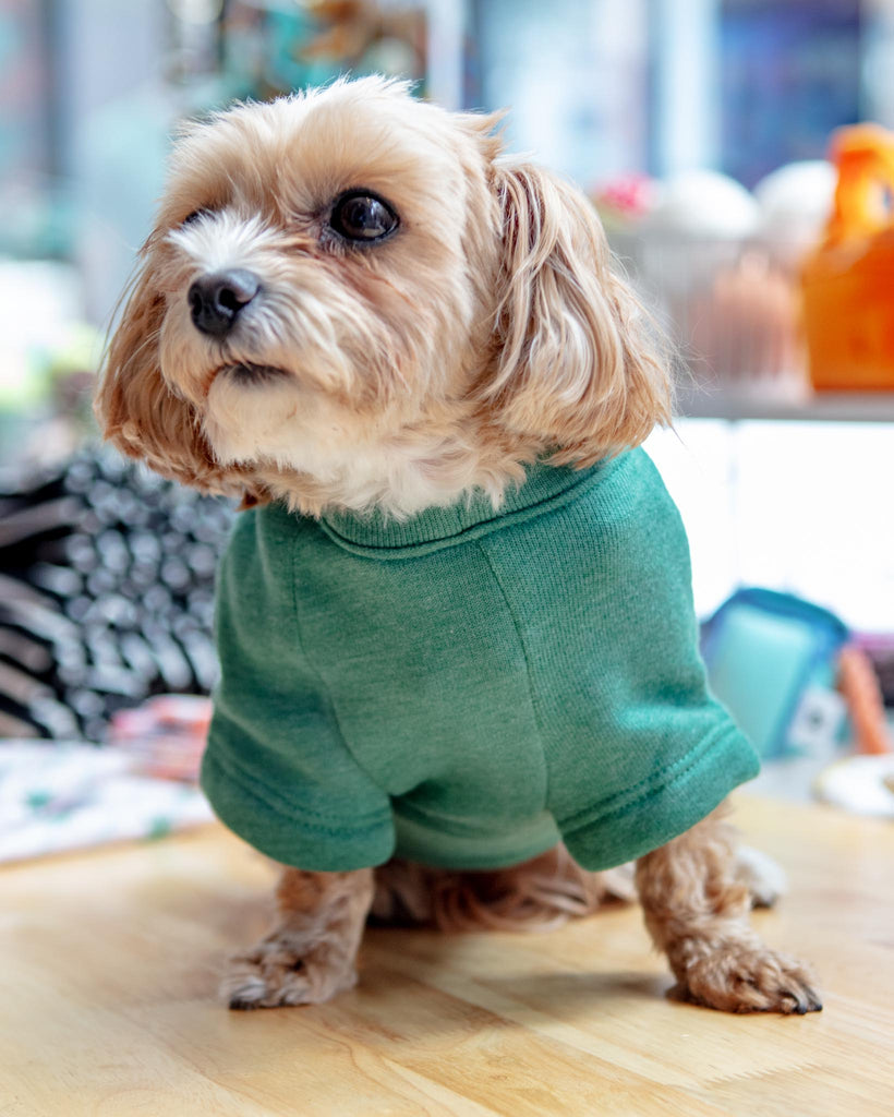 New York Dog Sweatshirt in Forest Heather Wear OAT COLLECTIVE