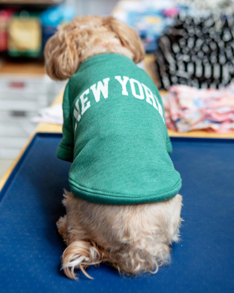 New York Dog Sweatshirt in Forest Heather Wear OAT COLLECTIVE