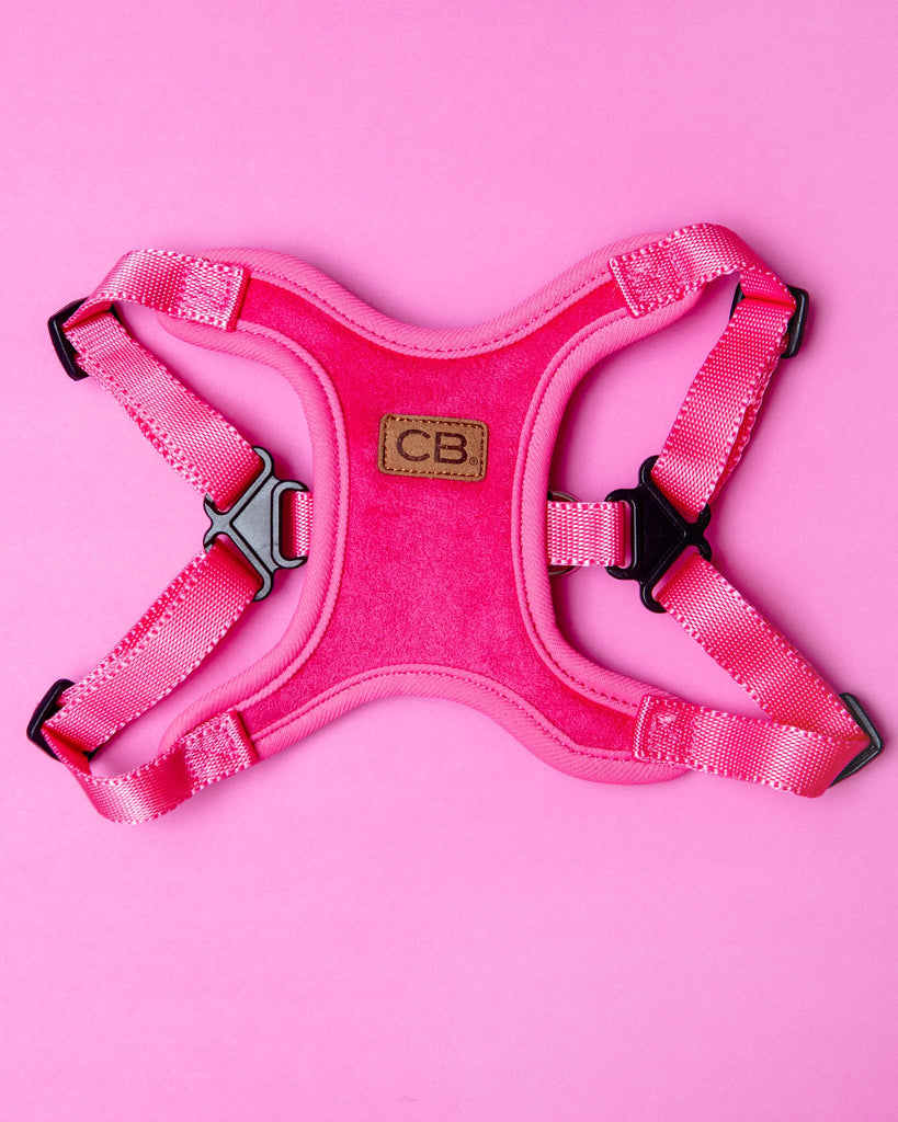 Comfort Dog Harness in Pink WALK CHARLIE'S BACKYARD   