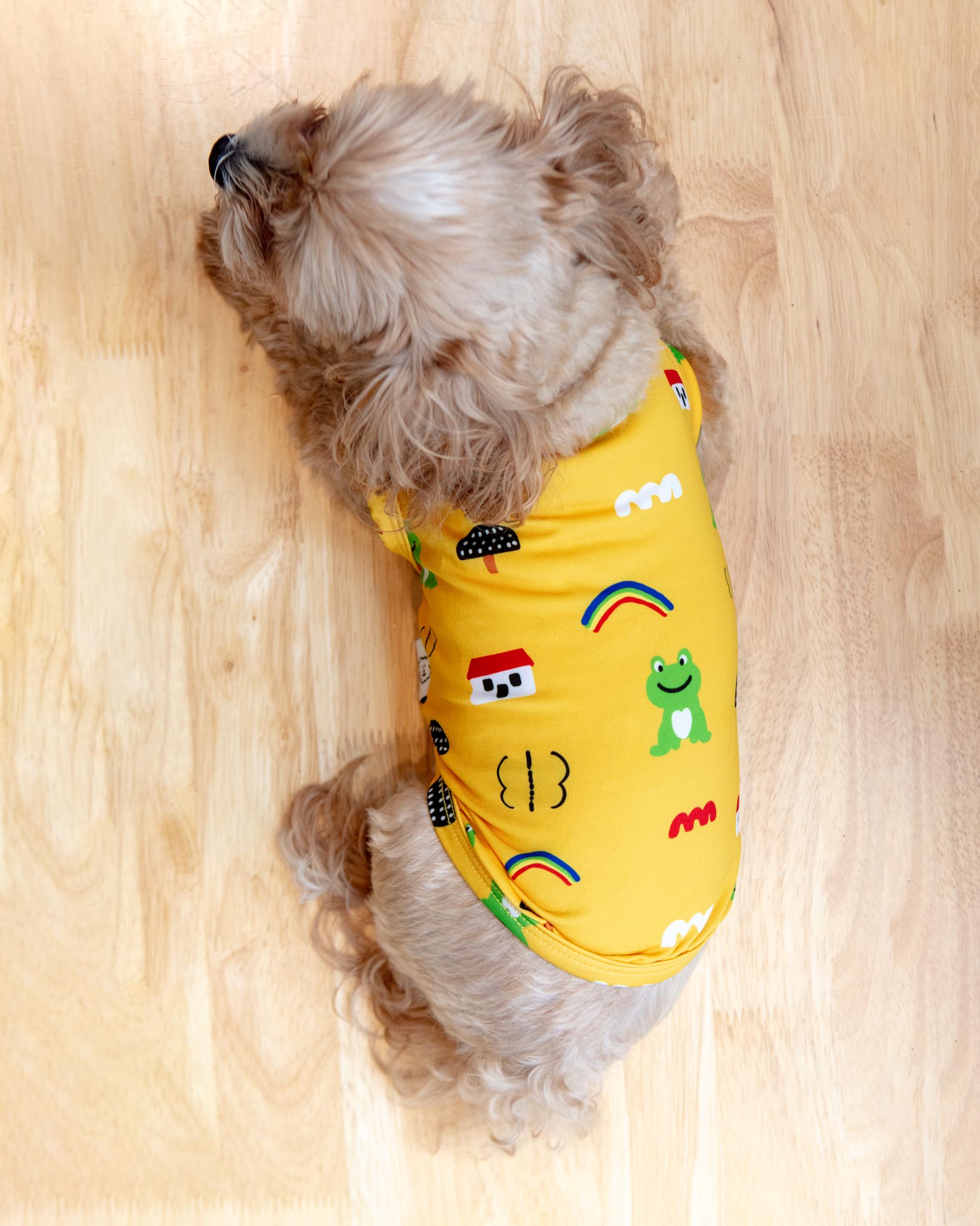 dog&co 　POINT-H DOG & CO. | Quality Pet Products, In-Store & Online