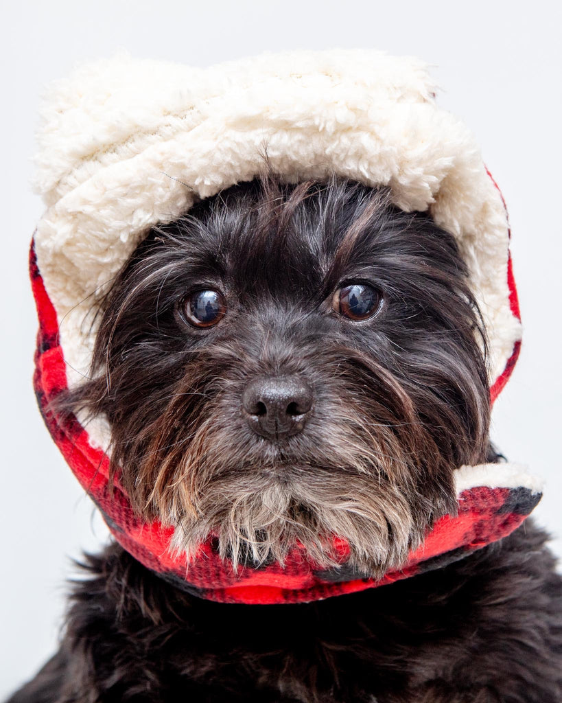 Flannel & Fleece Aviator Dog Hat in Buffalo Plaid (CLEARANCE) Wear THE WORTHY DOG   