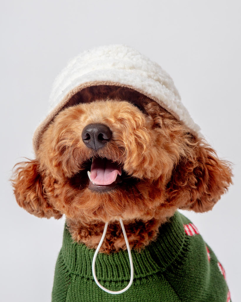 Sherpa Bucket Hat for Dogs (FINAL SALE) Wear THE WORTHY DOG   