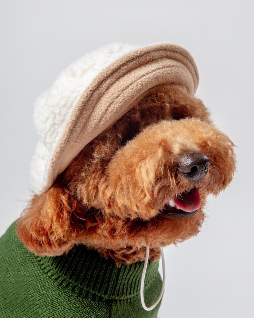 Sherpa Bucket Hat for Dogs (FINAL SALE) Wear THE WORTHY DOG   