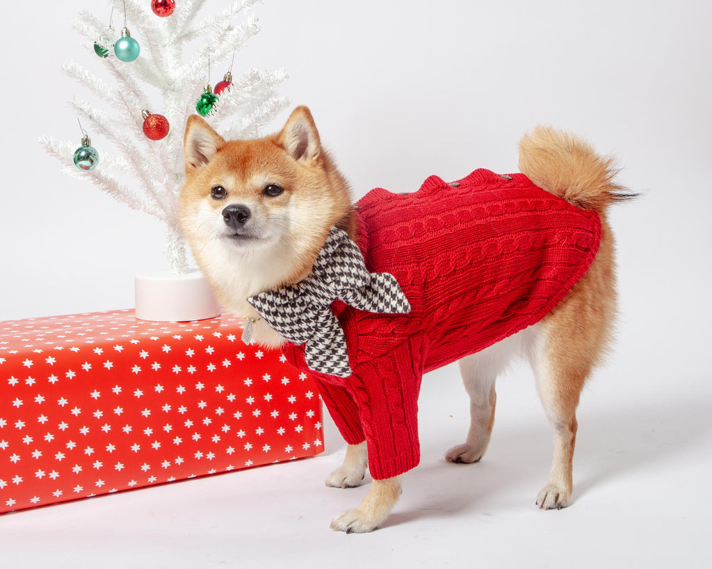 Classic Cable Knit Dog Cardigan in Red Wear CANICHE   