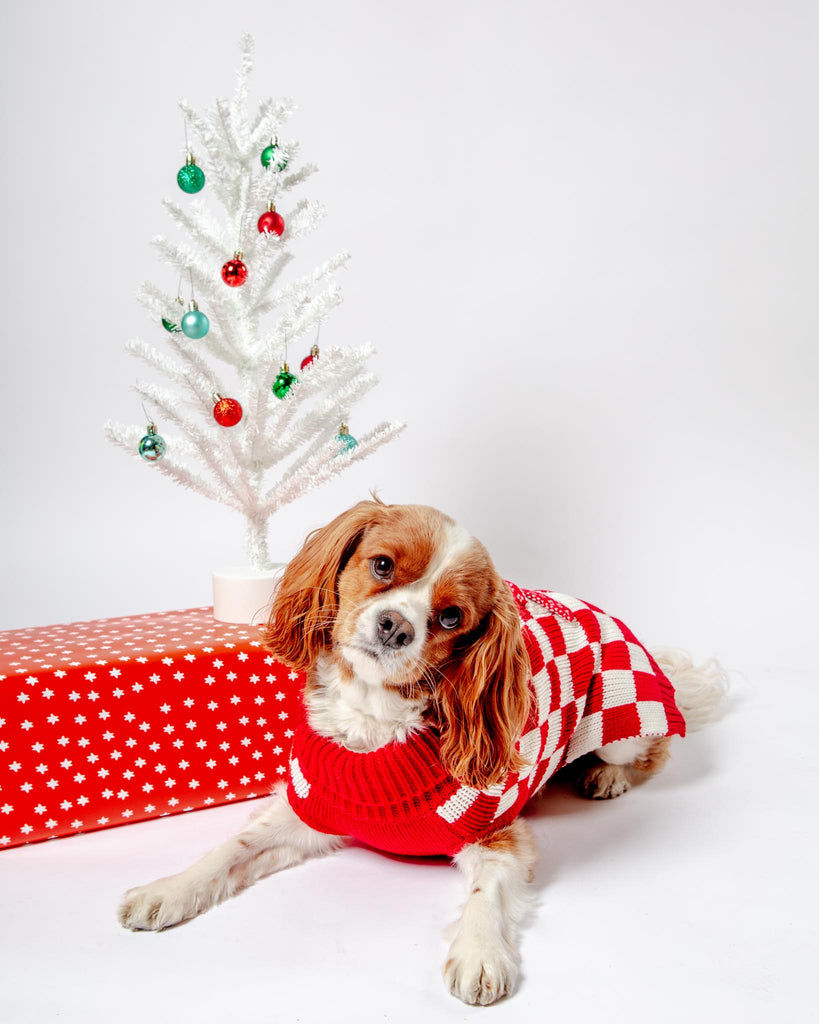 Checkerboard Snowman Sweater for Dogs (FINAL SALE) Wear THE WORTHY DOG   