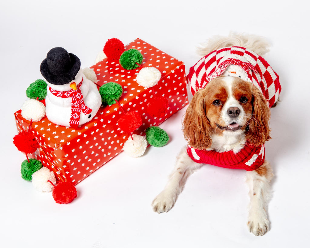 Checkerboard Snowman Sweater for Dogs (FINAL SALE) Wear THE WORTHY DOG   