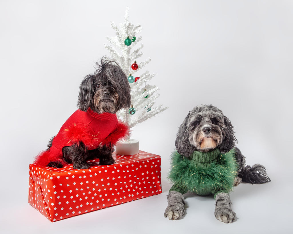 Holiday Glitz Feather Dog Onesie Wear MAXBONE   