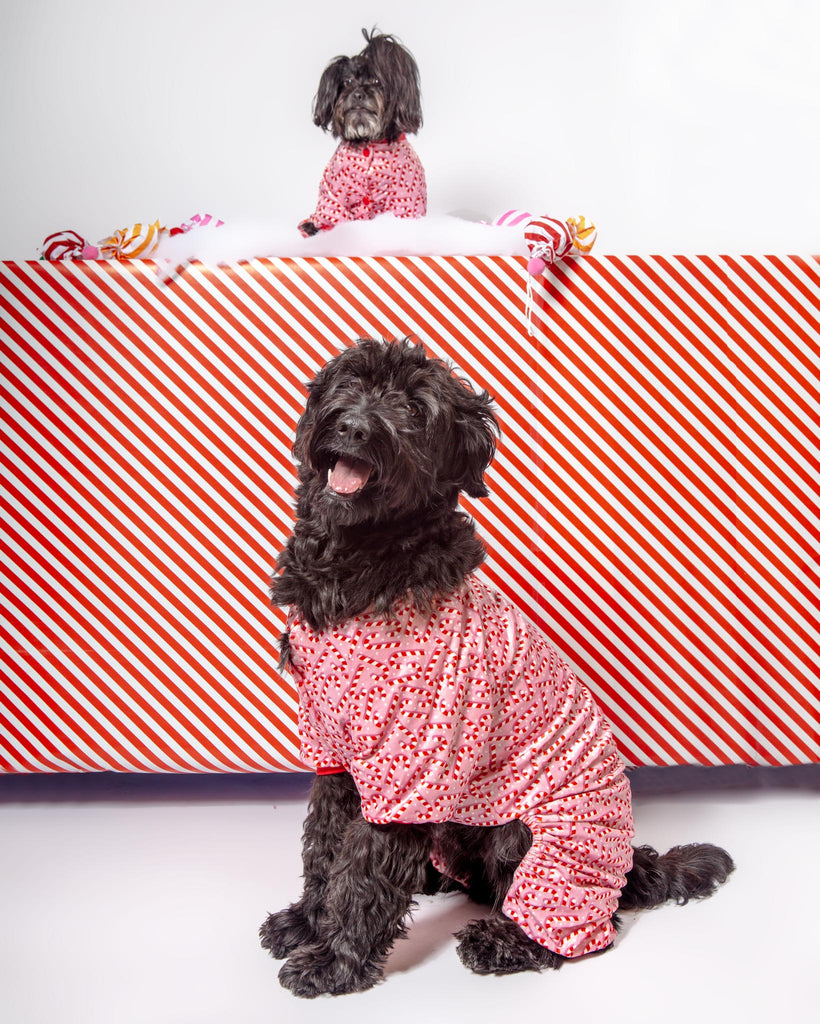 Candy Cane Dog Pajamas Wear FUZZYARD   