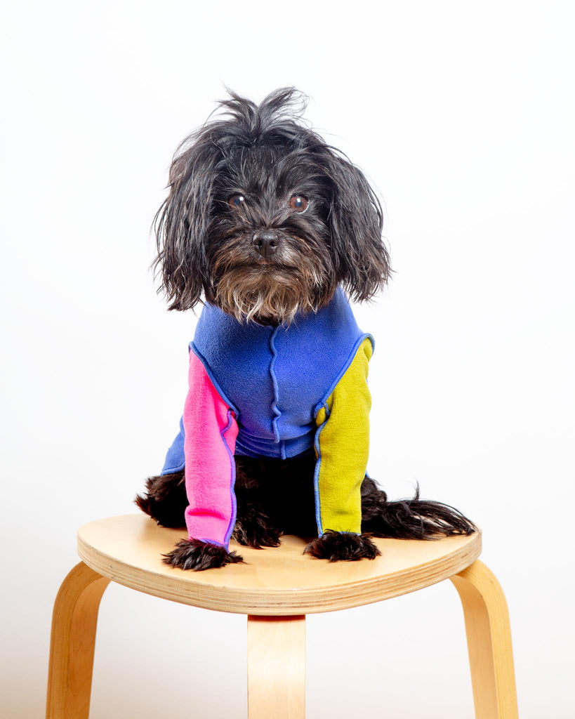Long-Sleeve Stretch Fleece in Crazy for the 80s (Made in the USA) (DOG & CO. + GOLD PAW Exclusive!) Wear GOLD PAW