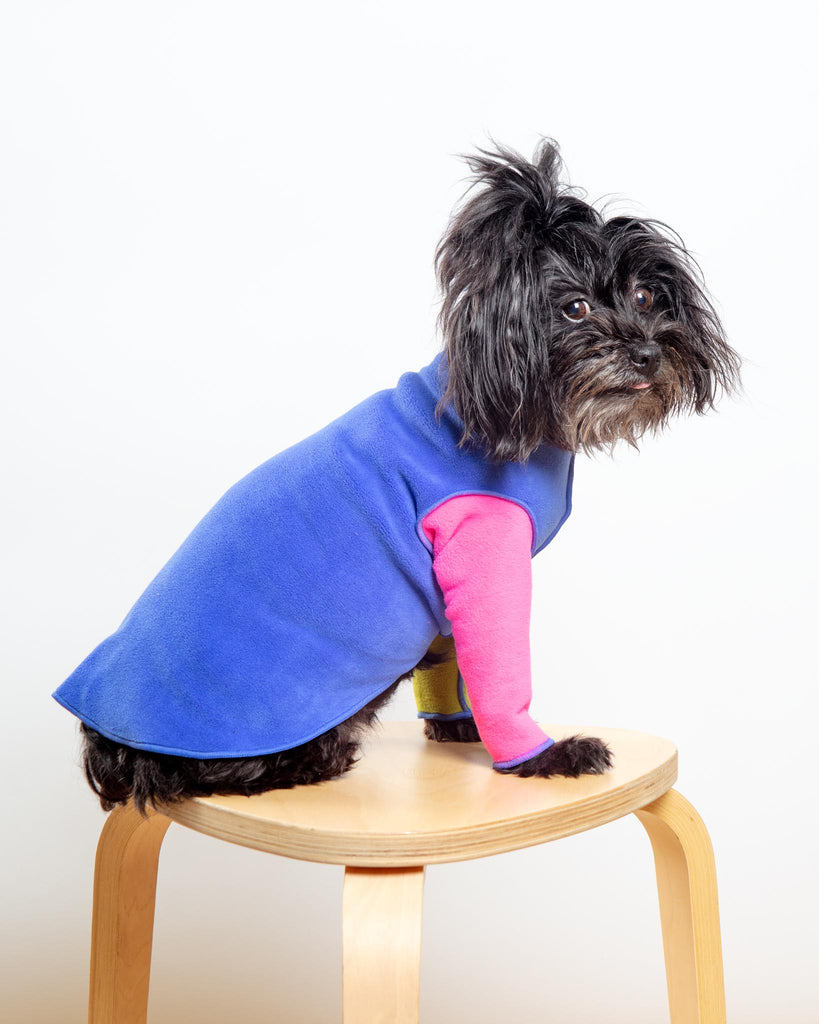 Long-Sleeve Stretch Fleece in Crazy for the 80s (Made in the USA) (DOG & CO. + GOLD PAW Exclusive!) Wear GOLD PAW