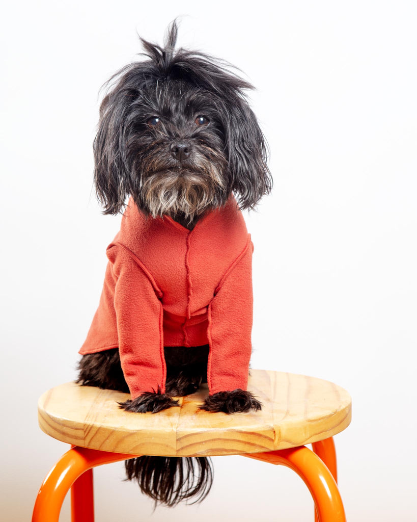 Long-Sleeve Stretch Fleece in Paprika (Made in the USA, DOG & CO. + GOLD PAW Exclusive!) Wear GOLD PAW