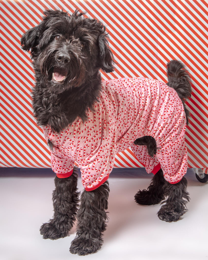 Candy Cane Dog Pajamas Wear FUZZYARD   