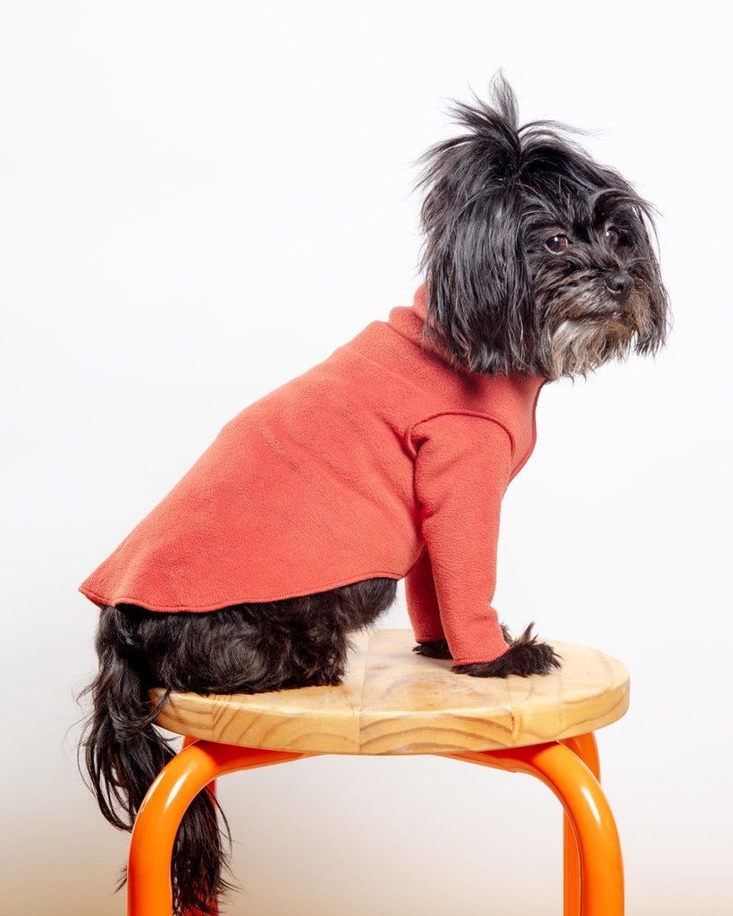 Long-Sleeve Stretch Fleece in Paprika (Made in the USA, DOG & CO. + GOLD PAW Exclusive!) Wear GOLD PAW