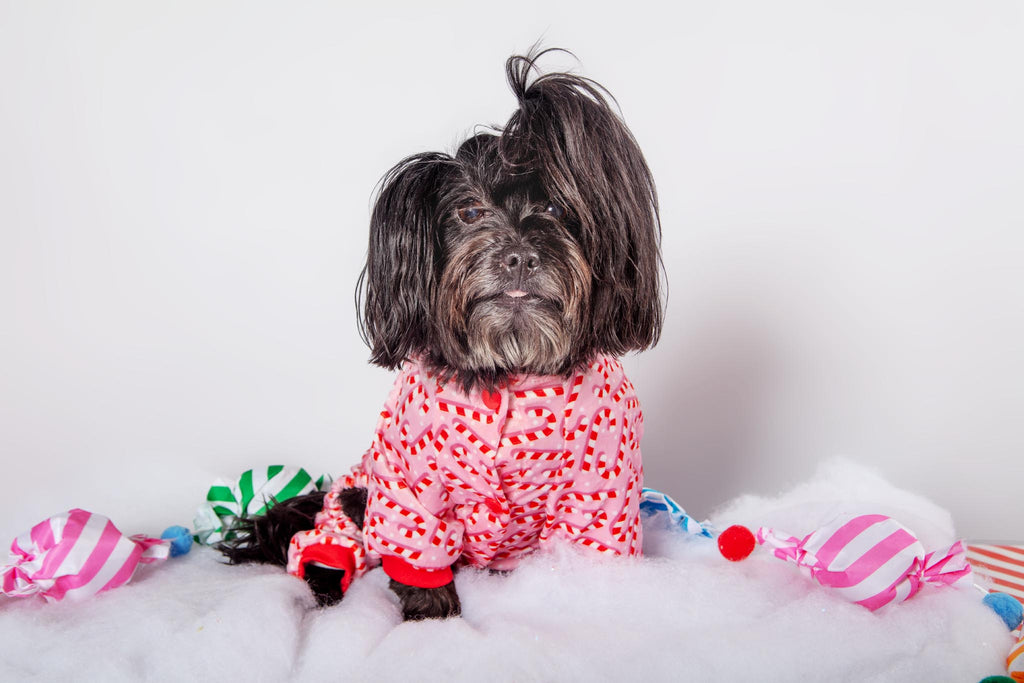 Candy Cane Dog Pajamas Wear FUZZYARD   