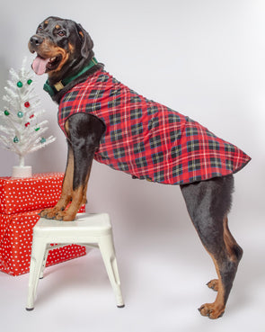 Stretch Fleece in Red Tartan Plaid (Made in the USA) Wear GOLD PAW
