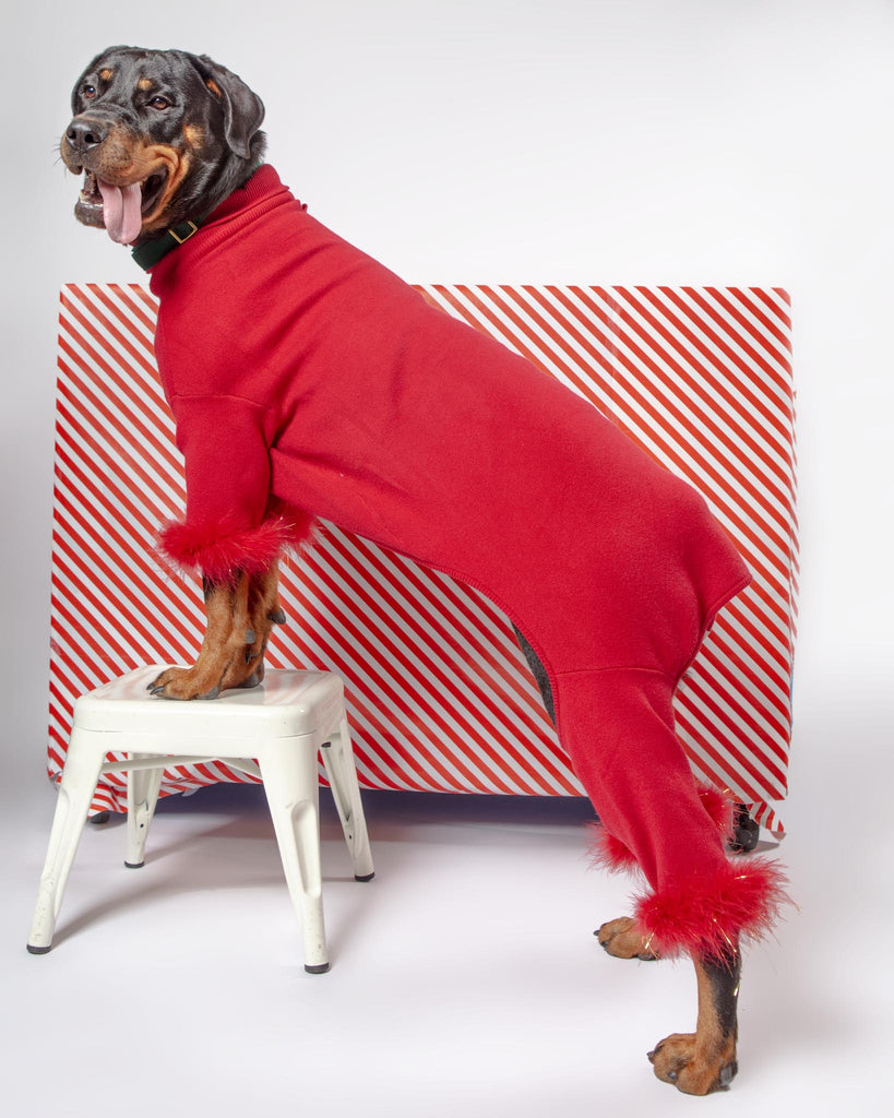 Holiday Glitz Feather Dog Onesie (FINAL SALE) Wear MAXBONE   