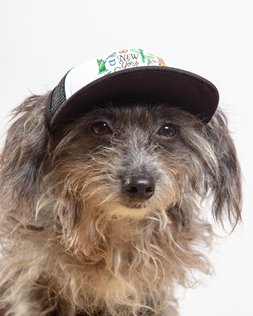 New York City Pet Trucker Hat (DOG & CO. EXCLUSIVE) Wear PUPLID