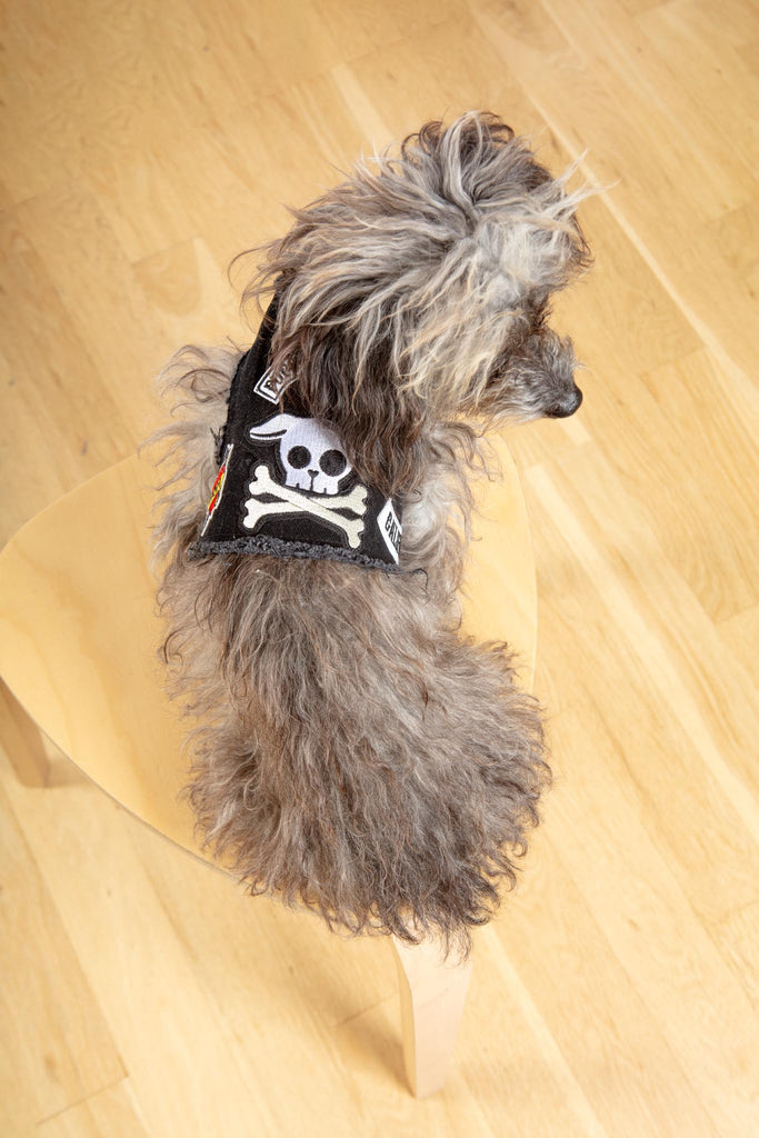 Pups of Anarchy Denim Dog Harness (Made in the USA)