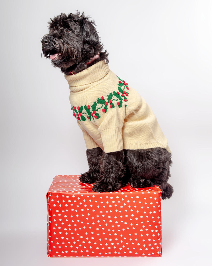 Holly Bobble Dog Sweater Wear THE FOGGY DOG   