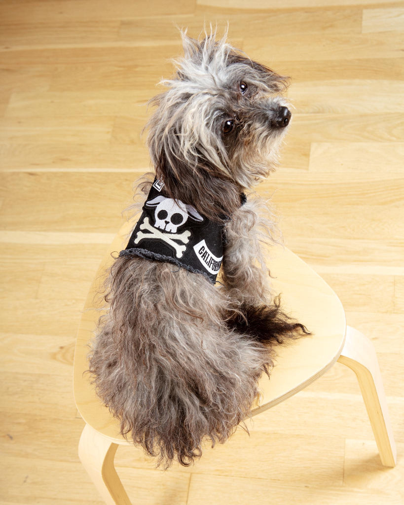 Pups of Anarchy Denim Dog Harness (Made in the USA)