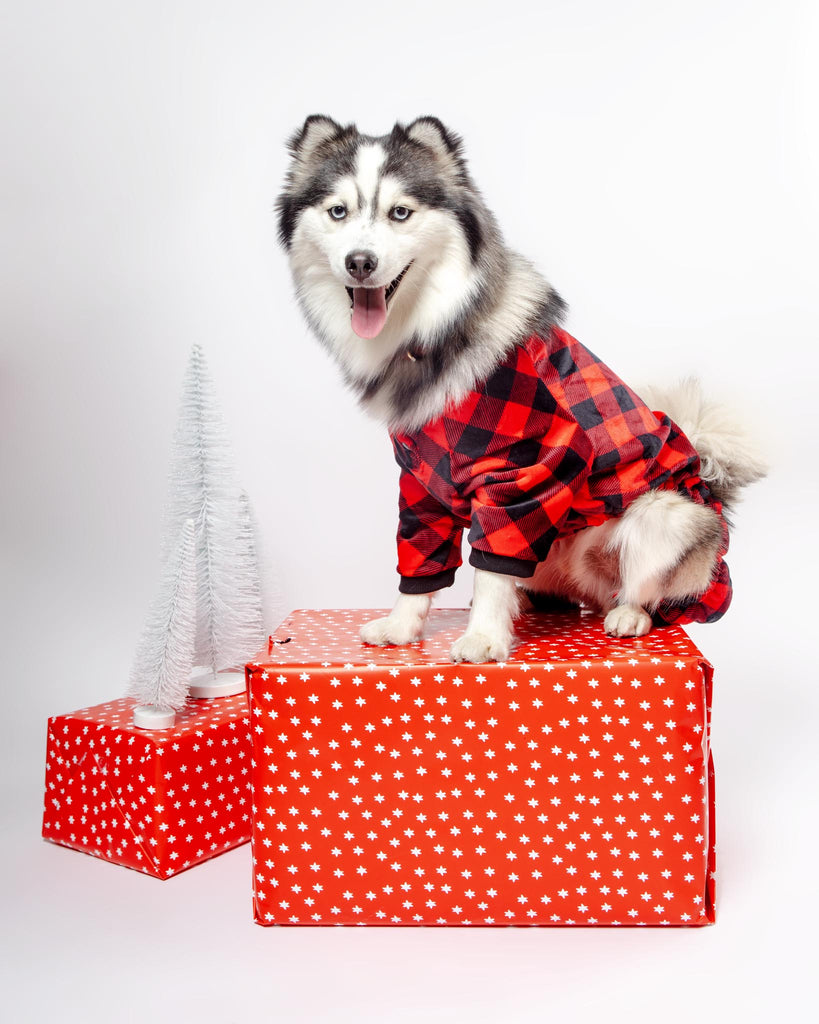 Buffalo Check Dog Jammies (FINAL SALE) Wear THE WORTHY DOG   