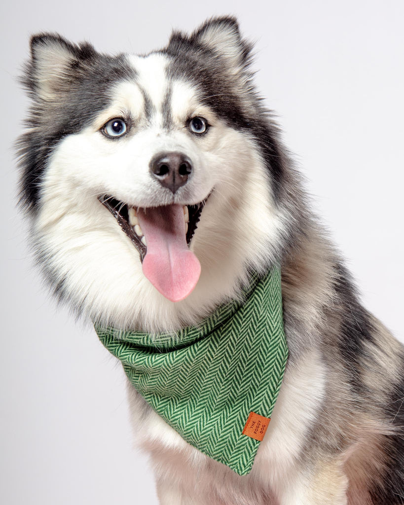 Green Herringbone Flannel Dog Bandana (Made in the USA) Wear THE FOGGY DOG   