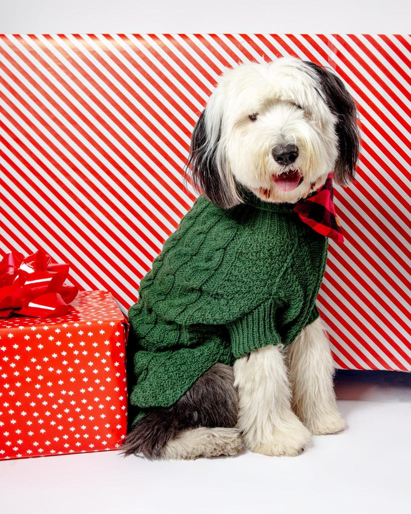 Downtown Roll Neck Dog Sweater in Evergreen Wear DOG & CO. COLLECTION   