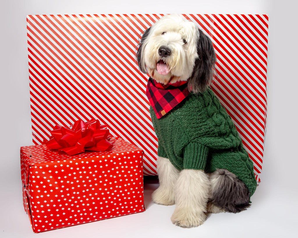 Downtown Roll Neck Dog Sweater in Evergreen Wear DOG & CO. COLLECTION   