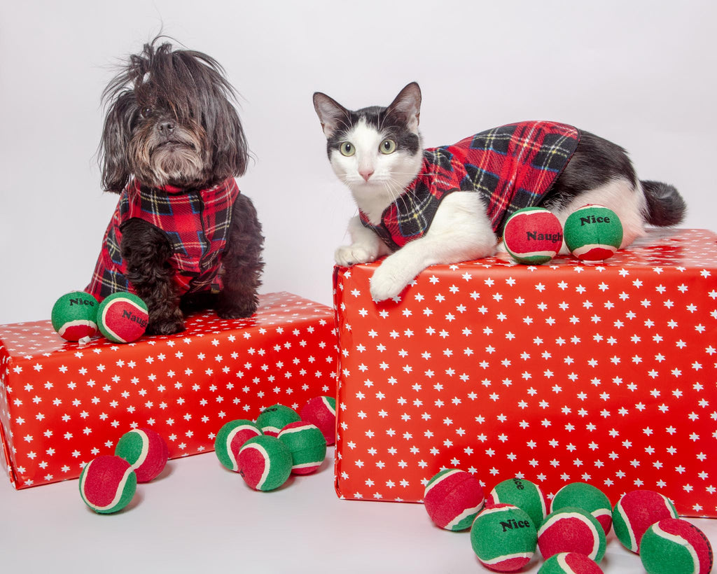 Stretch Fleece in Red Tartan Plaid (Made in the USA) Wear GOLD PAW   