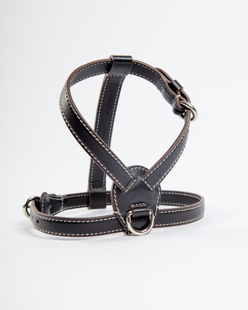 Nuvola Leather Dog Harness in Black (Made in Italy) Walk CARLOTTA PALERMO