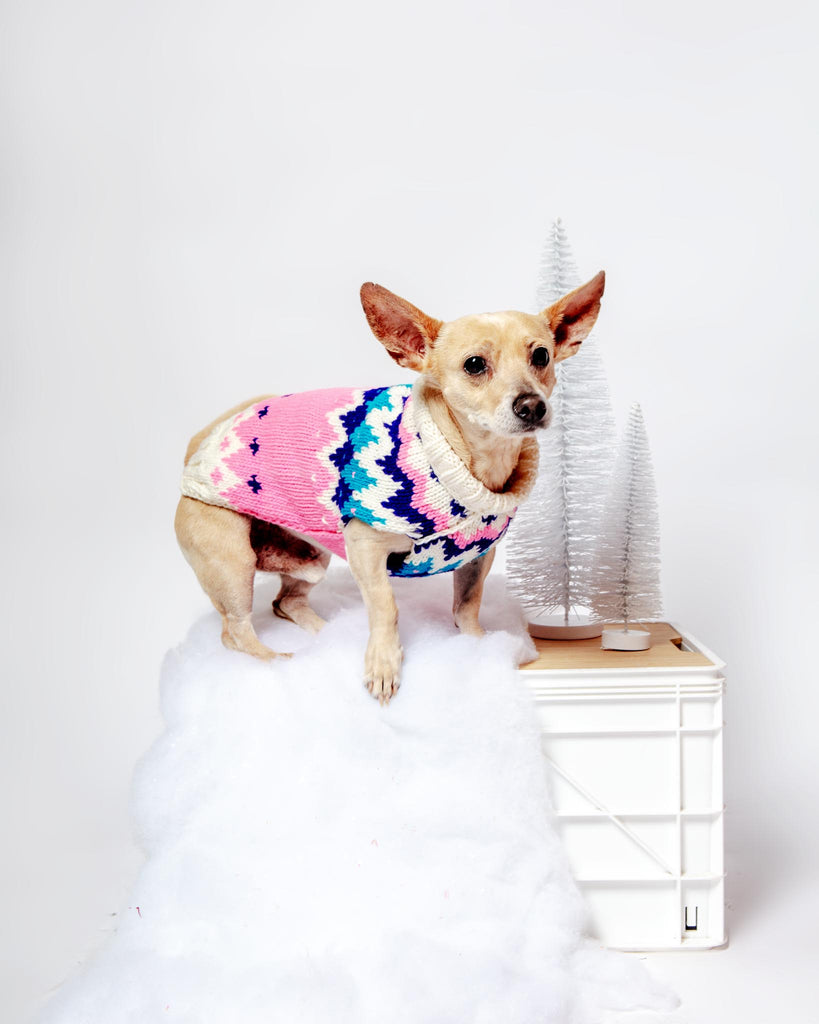 Ski Bum Dog Sweater in Pink (FINAL SALE) Wear CHILLY DOG   