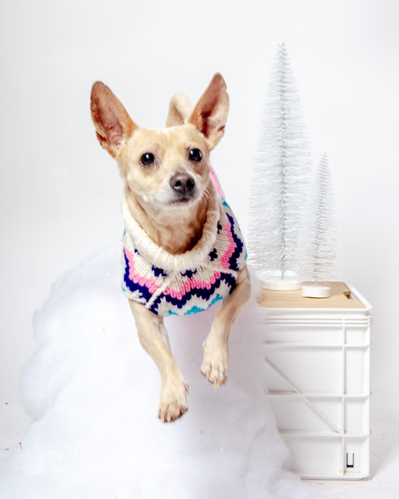 Ski Bum Dog Sweater in Pink (FINAL SALE) Wear CHILLY DOG   