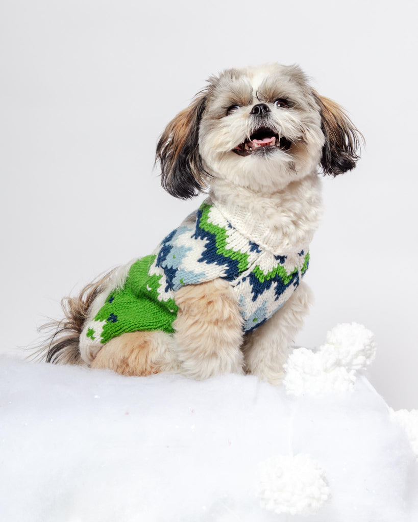 Ski Bum Dog Sweater in Green (FINAL SALE) Wear CHILLY DOG   