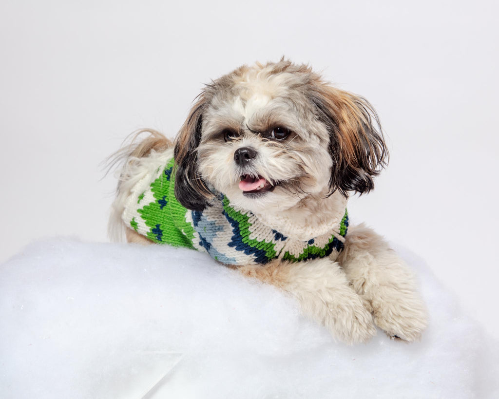 Ski Bum Dog Sweater in Green Wear CHILLY DOG   