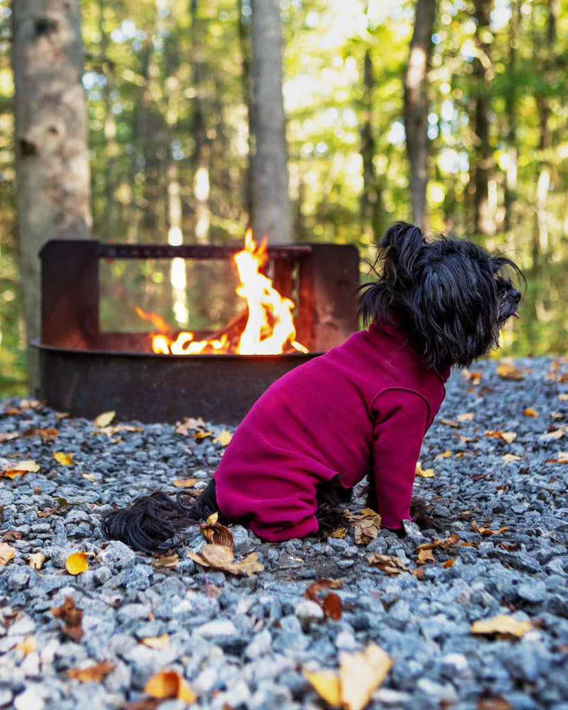 Stretch Fleece Onesie with Shawl Collar in Garnet (Made in the USA, DOG & CO. + GOLD PAW Exclusive!) Wear GOLD PAW