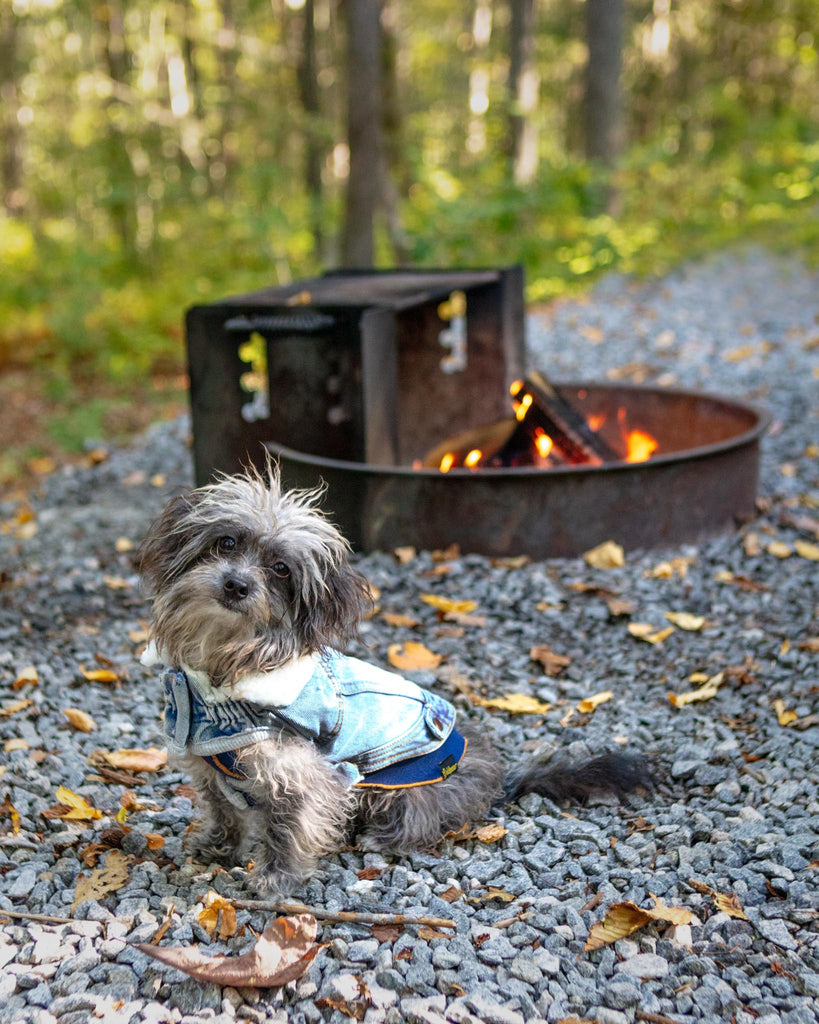 Northside Sherpa-Lined Denim Dog Jacket Wear GF PET