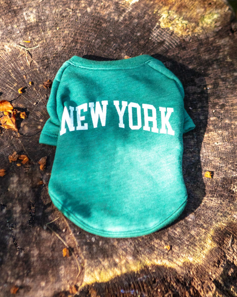New York Dog Sweatshirt in Forest Heather Wear OAT COLLECTIVE