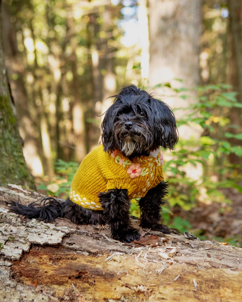 Yellow Floral Eileen Hand Embroidered Knitted Wool Dog Sweater Wear FRENCH KNOT