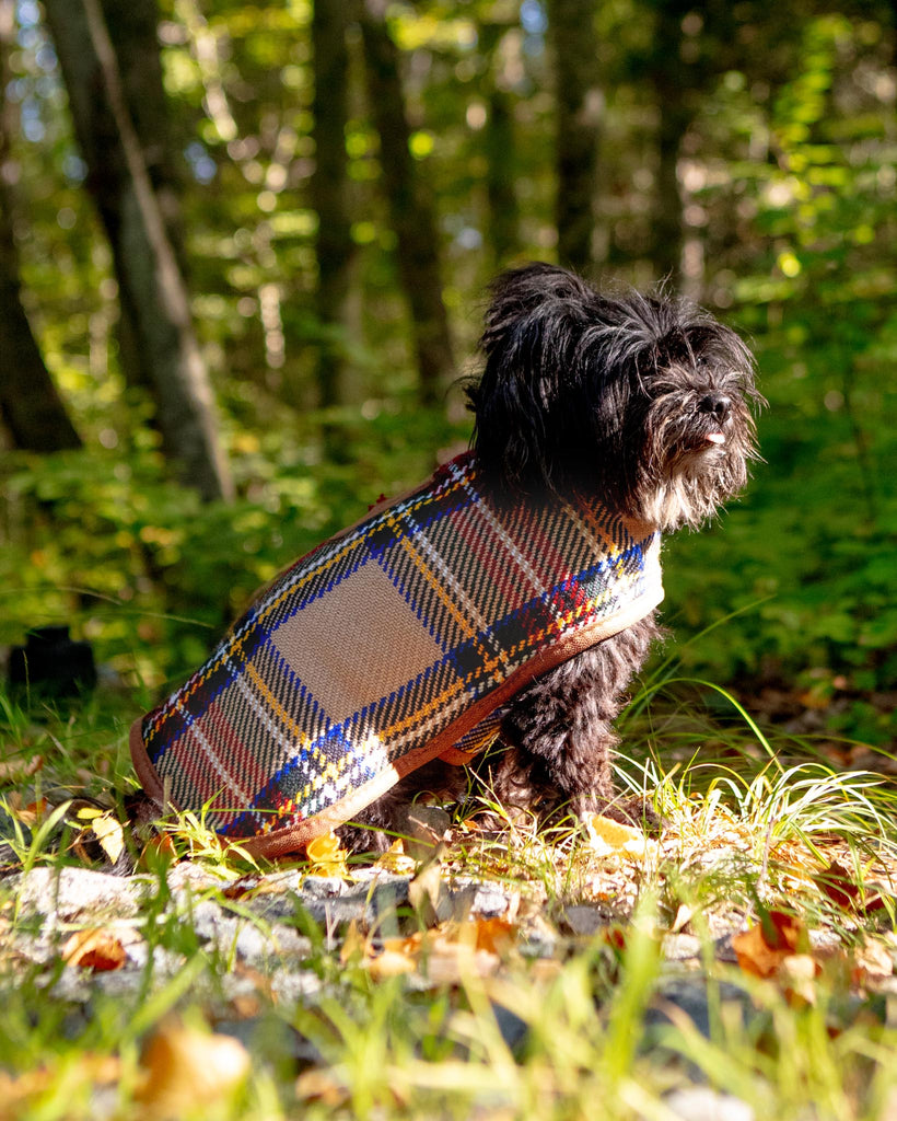 Tan Tartan Plaid Dog Coat Wear CHILLY DOG